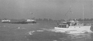 Boheme on the Rhine, 10th Pavillon D'Or 1954
